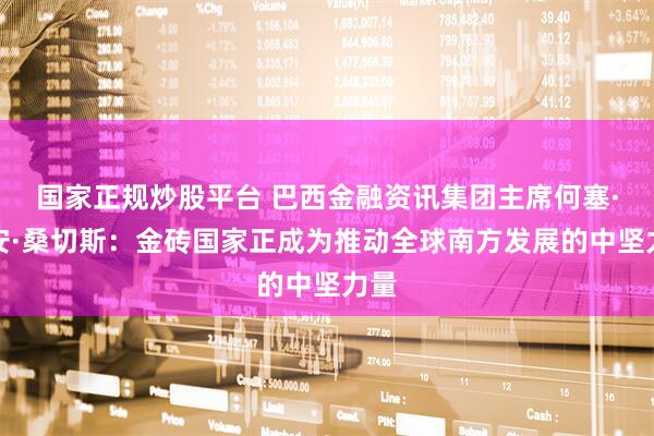 国家正规炒股平台 巴西金融资讯集团主席何塞·胡安·桑切斯：金砖国家正成为推动全球南方发展的中坚力量