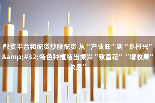 配资平台和配资炒股配资 从“产业旺”到“乡村兴”&#32;特色种植结出振兴“致富花”“增收果”